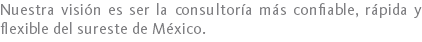 Nuestra visión es ser la consultoría más confiable, rápida y flexible del sureste de México.